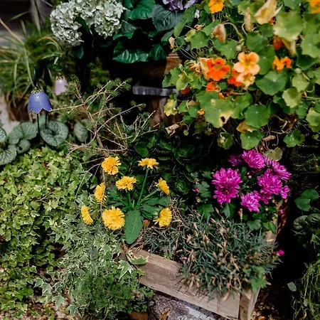 Apartament Mozartblick St. Gilgen