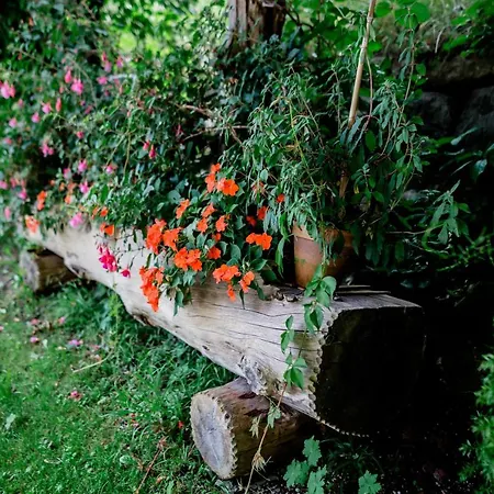 Apartament Mozartblick