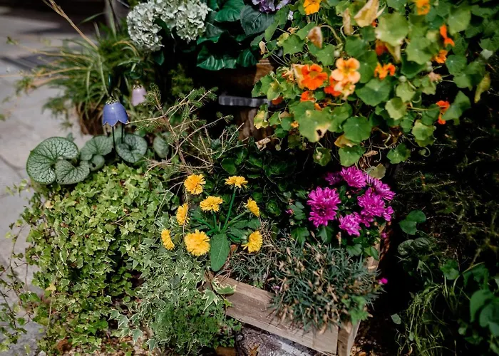 Appartamento Mozartblick Sankt Gilgen